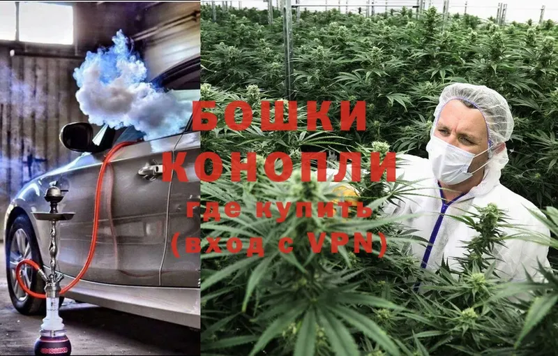 Бошки марихуана Ganja  купить  сайты  Нижнекамск 